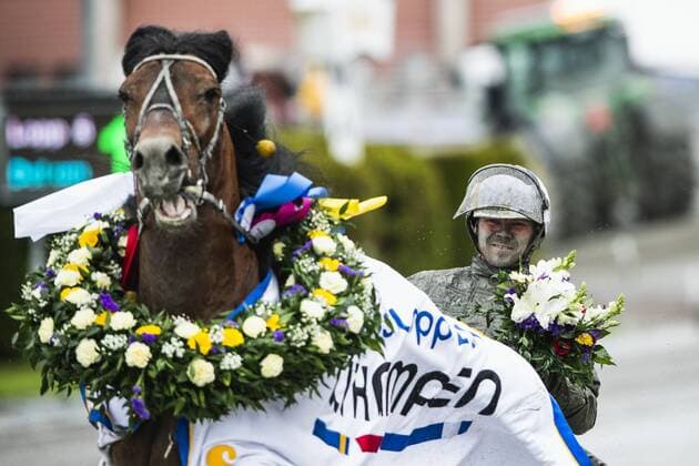 Sport Themen der Woche KW21 190526 Björn Karlsson med hästen Tangen Haap jublar efter lopp 5 under Elitloppet den 26 maj 2019 i Stockholm. *** 190526 Björn Karlsson with the horse Tangen Haap rejoices after race 5 during Elitloppet on May 26, 2019 in Stockholm,  Copyright: JONATHANxNÄCKSTRAND BB190526JN044