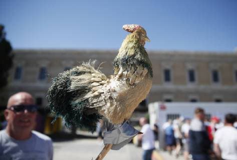 Sport Bilder des Tages A cockerel on a stick is held up by Tottenham fans as they gather in the fans zone before the UEFA Champions League match at Wanda Metropolitano Stadium, Madrid. Picture date: 1st June 2019. Picture credit should read: David Klein Sportimage EDITORIAL USE ONLY. No use with unauthorised audio, video, data, fixture lists, club league logos or live services. Online in-match use limited to 120 images, no video emulation. No use in betting, games or single club league player publications. SPI-0089-0009