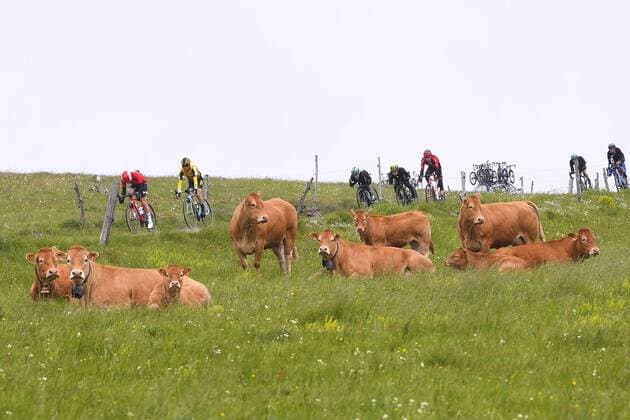 CRAPONNE-SUR-ARZON , FRANCE - JUNE 10 : HAGEN Carl fredrik (NOR) of Lotto Soudal, KUSS Sepp (USA) of Team Jumbo-Visma, MUHLBERGER Gregor (AUT) of BORA - Hansgrohe, HAIG Jack (AUS) of Mitchelton-Scott, DUMOULIN Tom (NED) of TEAM SUNWEB during stage 2 of the 71th edition of the Criterium du Dauphine Libere cycling race, a stage of 180 kms between Mauriac and Craponne-Sur-Arzon on June 10, 2019 in Craponne-Sur-Arzon , France, 10 06 2019 CYCLISME : Criterium du Dauphine 2019 - Mauriac to Craponne-Sur-Arzon - 10 06 2019 PHOTONEWS PANORAMIC 