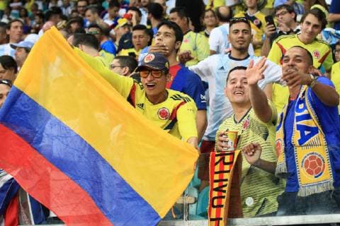 Argentina vs Colombia SALVADOR, BA - 15.06.2019: ARGENTINA VS COLOMBIA - Colombian fan during match between Argentina and Colombia, game 03, valid for the group phase of Copa América 2019, held this Saturday, 15, at the Arena Fonte Nova in Salvador, BA. (Photo: Mauro Akiin Nassor Fotoarena) x1748458x  MauroxAkiinxNassor