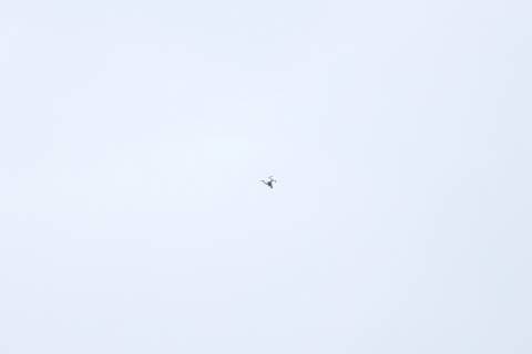 Netherlands Women v Canada Women 2019 FIFA Women s World Cup A drone is spotted at the game between Netherlands Women and Canada Women during the 2019 FIFA Women s World Cup match at Stade Auguste Delaune, Reims Content Not Available For UK Newspapers Copyright: xKunjanxMaldex FIL-13378-0005