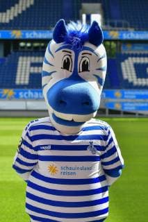 GER, official photo session portrait session portrait session MSV Duisburg mascot Ennatz MSV Duisburg 3 League DFB, portrait session 2019 2020 portrait, portrait format nph Mauelshagen nph00321