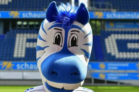 GER, official photo session portrait session portrait session MSV Duisburg mascot Ennatz MSV Duisburg 3 League DFB, portrait session 2019 2020 landscape, landscape format nph Mauelshagen nph00321