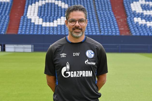 Coach David Wagner FC Schalke 04 1 BL, portrait date 2019 2020 Team2