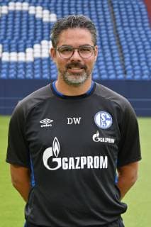 Coach David Wagner FC Schalke 04 1 BL, portrait date 2019 2020 Team2