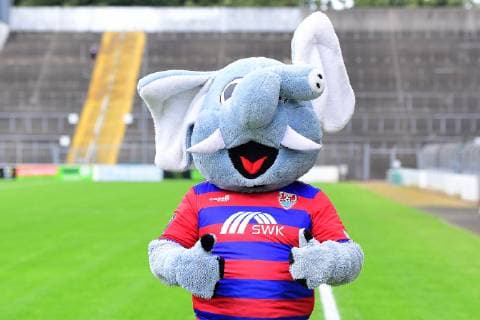 Mascot Grotifant KFC Uerdingen 3 League, portrait date 2019 2020 xRx