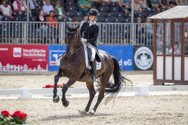 Bilder des Jahres 2019, Sport 08 August Sport Themen der Woche KW31 Sport Bilder des Tages Münster - Turnier der Sieger 2019, BACHMANN Carina (GER), Tarantino5 Münster - Turnier der Sieger 2019 PRIZE OF KAPPEL HIBERNIA GmbH & Co.KG Grand Prix de Dressage Wertung zu MEGGLE Champion of Honour 01. August 2019 Â© - *** Münster Tournament of Winners 2019, BACHMANN Carina GER , Tarantino5 Münster Tournament of Winners 2019 PRIZE OF KAPPEL HIBERNIA GmbH Co KG Grand Prix de Dressage Scoring to MEGGLE Champion of Honour 01 August 2019 Â©