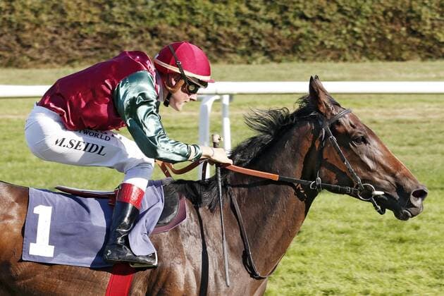 Bilder des Jahres 2019, Sport 08 August Sport Bilder des Tages 31.08.2019, Iffezheim, Baden-Wuerttemberg, GER - Amorella mit Martin Seidl gewinnt den T. von Zastrow Stutenpreis. Galopprennbahn Baden-Baden, Iffezheim. (Pferd, Jockey, Amorella, Seidl, Sieg, Ziel, Zielankunft) 190831D536IFFEZHEIM.JPG *** 31 08 2019, Iffezheim, Baden Wuerttemberg, GER Amorella with Martin Seidl wins the T von Zastrow mare price racecourse Baden Baden, Iffezheim horse, Jockey, Amorella, Seidl, victory, finish, finish 190831D536IFFEZHEIM JPG