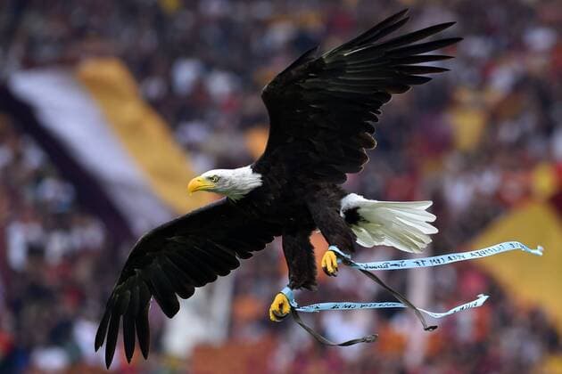 Bilder des Jahres 2019, Sport 09 September Sport Bilder des Tages League Serie A Match SS Lazio vs As Roma.Rome Olimpic Stadium September 01th, 2019 In the picture SS Lazio mascot Olimpia  Copyright: xFotografo01x xIPAx xFotografo01x 0