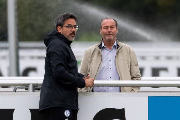 Gelsenkirchen, Germany 24 09 2019, Training FC Schalke 04, Coach David Wagner S04 and Huub Stevens Schaut, looks on Gelsenkirchen North Rhine Westphalia Germany eu images 01061013235 eu-images-061