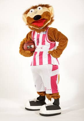 Telekom Baskets Bonn 2019 2020 Here Mascot Bonni MR:N