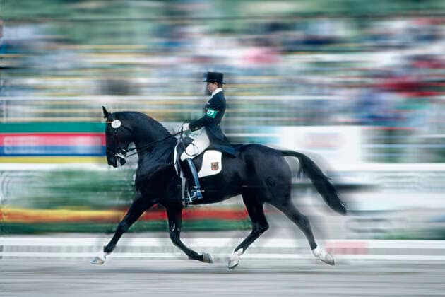 Monica Theodorescu deutsche Dressur-Reiterin und heute Dressur-Trainerin HIER beim Gewinn einer Goldmedaille im Team Deutschland in Seoul 1988 auf Ganimedes *** Monica Theodorescu German dressage rider and today dressage trainer HERE winning a gold medal in Team Germany in Seoul 1988 on Ganimedes