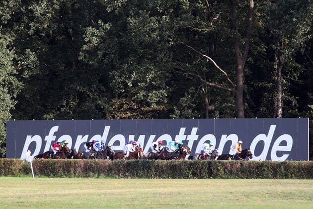 03 10 2019, Hoppegarten, Brandenburg, GER Pferde und Jockeys vor dem pferdewetten de Schild Galopprennbahn Hoppegarten Pferde, Jockeys, pferdewetten de Schild, Schild, Galopp, Galopprennsport, Pferderennsport, Werbung, Sponsor, Wettanbieter, Buchmacher, Internetwette, Pferdewette 191003D451HOPPEGARTEN JPG
