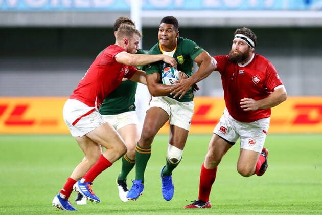 Damian Willemse (RSA), OCTOBER 8, 2019 - Rugby : 2019 Rugby World Cup Pool B match between South Africa 66-7 Canada at Kobe Misaki Stadium in Kobe, Hyogo, Japan.  (114032271)