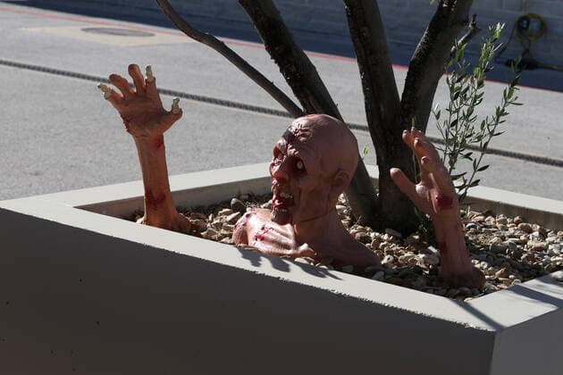 Photo4 LaPresse 31 10 2019 Austin, USA Grand Prix Formula One USA 2019 In the pic: Halloween atmosphere  Copyright: xPhoto4 LaPressex