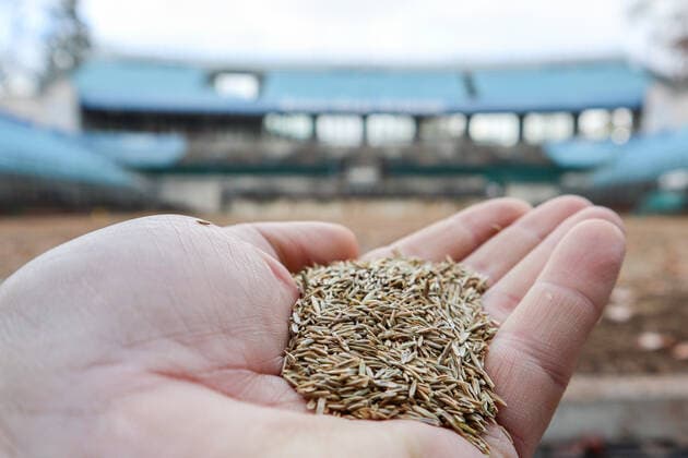 Center Court Steffi Graf Stadion is finished and seeded now its natures turn, conversion to lawn, KW 45, Steffi Graf Stadion, LTTC Rot Weiß , Berlin, 5 11 2019,