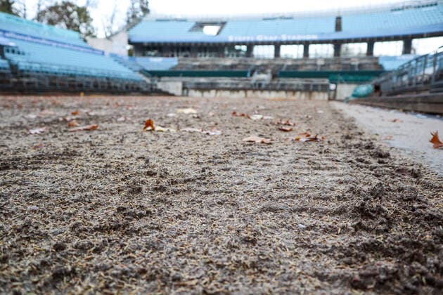 Center Court Steffi Graf Stadion is finished and seeded now its natures turn, conversion to lawn, KW 45, Steffi Graf Stadion, LTTC Rot Weiß , Berlin, 5 11 2019,