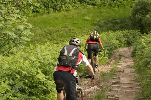 Two Mountainbikers on a Trail 03C05538