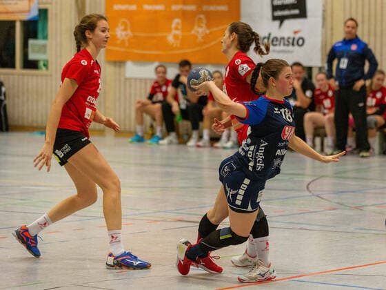 Maja Zeides HSG Freiburg 29 , Lea Neubrander SG H2Ku Herrenberg 18 and Jessica Peter HSG Freiburg 48 HSG Freiburg SG H2Ku Herrenberg, Women, Handball, 2 Bundesliga, 9 Matchday, Season 2019 2020, 16 11 2019, GER, HSG Freiburg SG H2Ku Herrenberg, Women, Handball, 2 Bundesliga, 9 Matchday, Season 2019 2020, 16 11 2019, Freiburg Breisgau Copyright: xEibner-Pressefoto DimitrixDrofitx EP_ddh