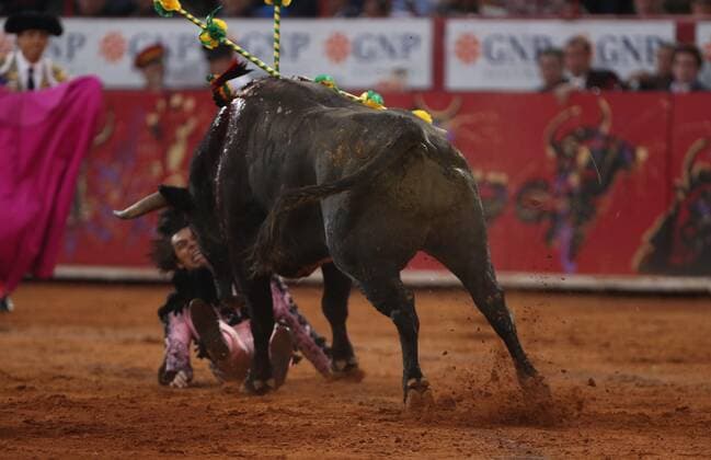 Mexican bullfighter Sergio Flores is gored by the bull Amor Inspirador , 518 kg, during his bullfight held in Mexico City, Mexico, during the 7th day of the Temporada Grande bullfighting fair, 12 December 2019. Temporada Grande bullfighting in Mexico !ACHTUNG: NUR REDAKTIONELLE NUTZUNG!  Copyright: xMarioxGuzmanx AME5650 20191213-637118237159938951