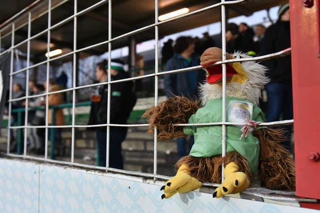 Plueschadler in the Prussian fan block after the defeat DFB regulations prohibit any use of photographs as image sequences and or quasi video, GER, Fussball, 3 Liga, Preussen Muenster TSV 1860 Muenchen, 21 2 2019, Preussenstadion Muenster Copyright: xFrankxWenzel Eibner-Pressefotox SVM