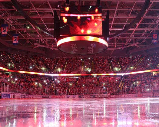 Overview before the game of the Shining Hearts at the game of the Adler Mannheim against the Straubing Tigers in the DEL on 22 12 2019, Adler Mannheim Straubing Tigers, Ice Hockey, DEL, 22 12 2019 Mannheim Copyright: xMichaelxBermel Eibner-Pressefotox EP_mbl