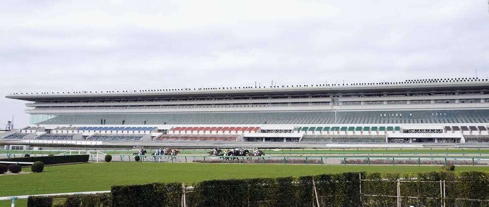 Galopp, Rennen auf der Nakayama-Rennbahn finden zum Schutz vor dem Coronavirus ohne Zuschauer statt New coronavirus A Japan Racing Association horse race is held with spectators shut out at Nakayama Racecourse in Funabashi, near Tokyo, on Feb. 29, 2020, amid the spread of the new coronavirus. 
