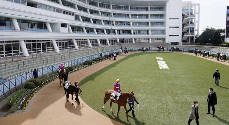 Galopp, Rennen auf der Nakayama-Rennbahn finden zum Schutz vor dem Coronavirus ohne Zuschauer statt New coronavirus Race horses walk in the paddock before a Japan Racing Association race is held at Nakayama Racecourse in Funabashi, near Tokyo, on Feb. 29, 2020, with spectators shut out amid the spread of the new coronavirus. 