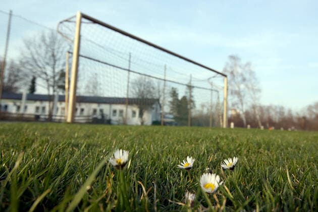 16 03 2020 sports facility in times of corona virus corona virus corona virus DaMa symbol image symbol photo feature impression amateurs amateur soccer soccer field folded up soccer goal goal in times of corona virus coronavirus flower on soccer field