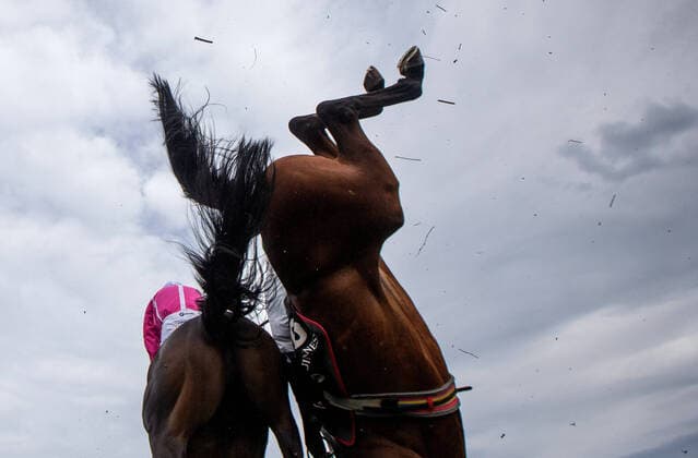 Bilder des Jahres 2020, Sport 07 Juli Sport Themen der Woche KW31 Sport Bilder des Tages 2020 Galway Racing Festival Day 4, Ballybrit, Galway 30 7 2020 The Rockshore Novice Steeplechase (Grade 3) Kevin Brouder on Scheu Time jumps alongside the falling David Mullins on Russian Diamond Kevin Brouder on Scheu Time jumps alongside the falling David Mullins on Russian Diamond 30 7 2020  Copyright: x INPHO JamesxCrombiex INPH5850
