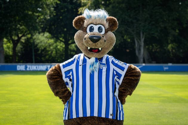 Football Berlin 17 08 2020 Season 2020 2021 1 BL DFL Hertha BSC Berlin Portrait date 2020 2021 Hertinho Hertha BSC, Mascot