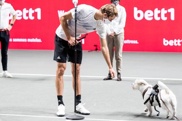 bett1HULKS Indoors ATP 250 Cologne, 18 10 2020 Alexander ZVEREV GER calls the dog of the title sponsor to the award ceremony bett1HULKS Indoors ATP 250 on 18 10 2020 in Cologne LANXESSarena , Germany Copyright: xBEAUTIFULxSPORTS Wunderlx