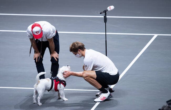 bett1HULKS CHAMPIONSHIP 2020, Cologne, Cologne Alexander Zverev GER bett1HULKS CHAMPIONSHIP
