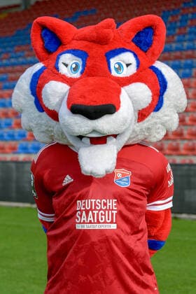 Fonzi mascot SpVgg Unterhaching 3 League, Portrait xslx