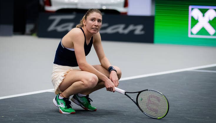 November 14, 2020, Linz, AUSTRIA: Ekaterina Alexandrova of Russia in action during the semi-final of the 2020 Upper Austria Ladies Linz WTA, Tennis Damen International tennis tournament against Elise Mertens of Belgium Linz AUSTRIA - ZUMAa181 20201114_zaa_a181_031 Copyright: xRobxPrangex