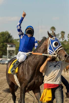 Sport Bilder des Tages Women s Jockey Race Championship In Mexico MEXICO CITY, MEXICO - MAY 22: Jockey Jazmin Larios, celebrates her victory during the First Women s Jockey Race ˜Challenge of Jockettas at Hippodrome of the Americas. For the first time in 78 years, a women s horse race is held, a historic event for Mexican Horse Riding. On May 22, 2021 in Mexico City, Mexico. Copyright: xRicardoxFloresx EYEPIXGROUP_RFE_22052021_7247