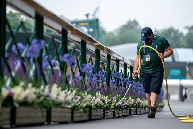 Mandatory Credit: Photo by AELTC Shutterstock (12193266h) Horticulture staff watering the planters outside the Clubhouse in the early morning at The Championships 2021 Wimbledon Tennis Championships, Day 5, The All England Lawn Tennis and Croquet Club, London, UK - 02 Jul 2021 Editorial Use Only Wimbledon Tennis Championships, Day 5, The All England Lawn Tennis and Croquet Club, London, UK - 02 Jul 2021 Editorial Use Only  Copyright: xAELTC Shutterstockx 12193266h