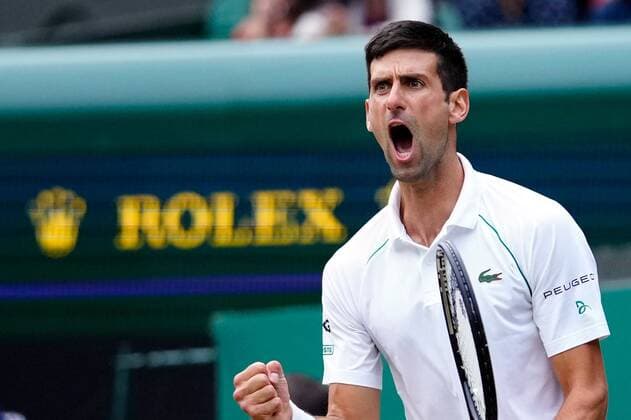 Tennis, Wimbledon, Semifinals, Novak Djokovic advances to final