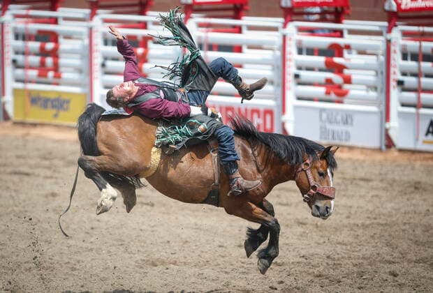 Bilder des Jahres 2021, Sport 07. Juli Sport Themen der Woche KW27 Sport Bilder des Tages July 9, 2021, Calgary, ab, Canada: Dantan Bertsch, of Eastend, Sask., rides Welcome Delivery during rodeo action at the Calgary Stampede in Calgary, Alta., Friday, July 9, 2021. Dantan Bertsch  - ZUMAc35_ 20210709_zaf_c35_076 Copyright: xJeffxMcintoshx
