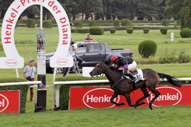 Bilder des Jahres 2021, Sport 08. August Sport Themen der Woche KW30 Sport Bilder des Tages 01.08.2021, Duesseldorf, Nordrhein-Westfalen, GER - Palmas mit Eduardo Pedroza gewinnt den 163. Henkel-Preis der Diana. Galopprennbahn Duesseldorf-Grafenberg. (Pferd, Jockey, Palmas, Pedroza, Sieg, Ziel, Zielankunft) 210801S982DUESSELDORF.JPG *** 01 08 2021, Duesseldorf, North Rhine Westphalia, GER Palmas with Eduardo Pedroza wins the 163 Henkel Prize of Diana Galopprennbahn Duesseldorf Grafenberg horse, jockey, Palmas, Pedroza, victory, finish, finish 210801S982DUESSELDORF JPG