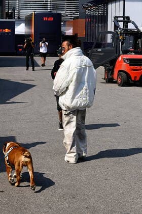 FORMULA 1 HEINEKEN GRAN PREMIO D ITALIA 2021 09 09 2021, Autodromo Nazionale di Monza, Monza, FORMULA 1 HEINEKEN GRAN PREMIO D ITALIA 2021 ,in the picture Lewis Hamilton GBR 44 , Mercedes AMG Petronas Formula One Team with dog Roscoe nordphotoxGmbHx xBratic nph00250