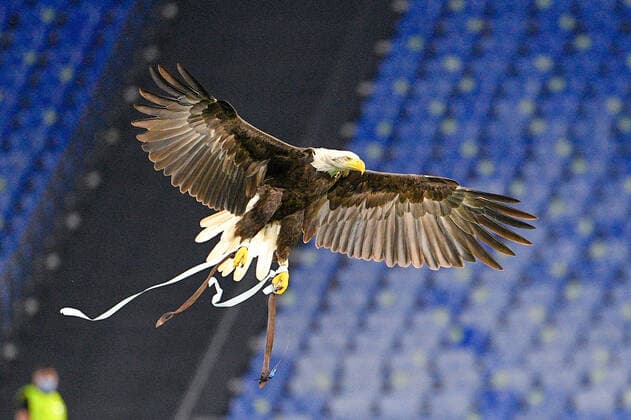 Sport Bilder des Tages Olimpia during the UEFA Europa League football match between SS Lazio and Lokomotiv Mosca at The Olympic Stadium in Rome on 30 September 2021.  Copyright: xFabrizioxCorradettix xIPAx xx 0