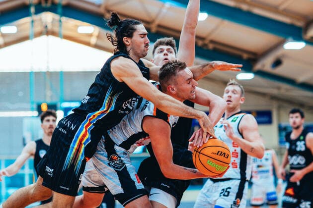 Basketball, 2. BL, ProB, BSW Sixers - SBB Baskets Wolmirstedt