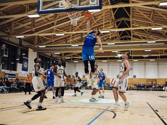 Basketball, 2. BL, ProA, Itzehoe Eagles - PS Karlsruhe Lions