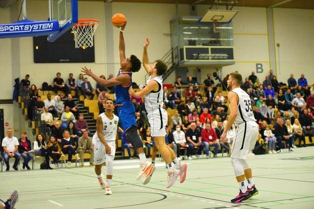 Basketball, 2. BL ProB, White Wings Hanau - Orange Academy Ulm