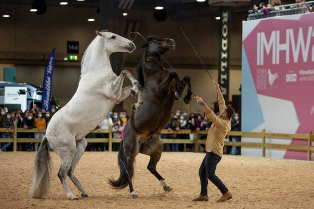 Sport Themen der Woche KW47 Sport Bilder des Tages Spain: Madrid Horse Week Natural dressage show during Ifema Madrid Horse Week celebrated in Madrid. Nov 26th 2021 Madrid Madrid Spain Copyright: JuanxCarlosxGarcíaxMate