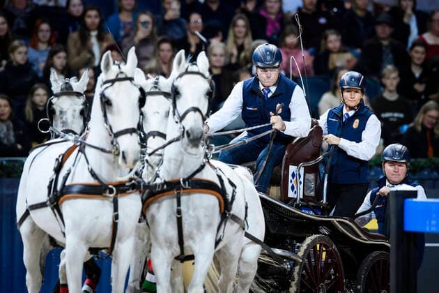 Sport Themen der Woche KW47 József Dobrovitz, Hungary, during the CAI-W World Cup Competition driving event during the Sweden International Horse Show at Friens Arena in Solna, Stockholm, Sweden, on Nov. 27, 2021. STOCKHOLM SVERIGE x11720x *** József Dobrovitz, Hungary, during the CAI W World Cup Competition driving event during the Sweden International Horse Show at Friens Arena in Solna, Stockholm, Sweden, on Nov 27, 2021 STOCKHOLM SVERIGE x11720x,  Copyright: xErikxSimander TTx STOCKHOLM INTERNATIONAL HORSE SHOW 2021