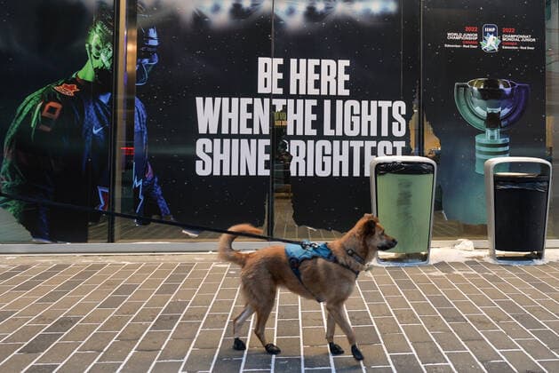 Ice hockey, Eishockey 2022 World Juniors Cancelled Due To COVID-19 Cases A man (invisible) with a dog walks past an empty entrance to Rogers Place Arena. The 2022 World Juniors hockey tournament was cancelled Wednesday afternoon after multiple COVID-19 cases were found within the teams. On Wednesday, December 29, 2021, in Edmonton, Alberta, Canada. Edmonton Canada  Copyright: xArturxWidakx originalFilename:widak-icehocke211229_npD7C.jpg