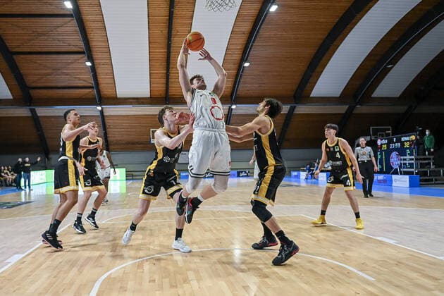 Basketball, 2.BL, ProB, Rheinstars Cologne - LOK Bernau