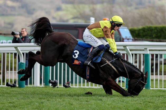 Bilder des Jahres 2022, Sport 03 März Sport Themen der Woche KW11 Sport Bilder des Tages 2022 Cheltenham Festival, Prestbury Park, Cheltenham, England 17 3 2022 The Turners Novices Chase Paul Townend on Galopin Des Champs falls at the last Paul Townend on Galopin Des Champs falls at the last 17 3 2022  Copyright: x INPHO DanxSheridanx AJ5I9747